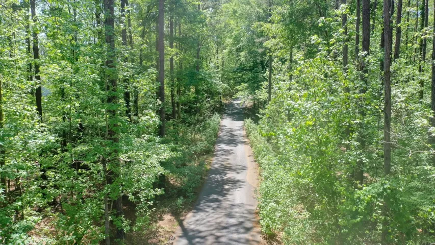 A tranquil driveway winds through a lush, verdant landscape, inviting exploration.