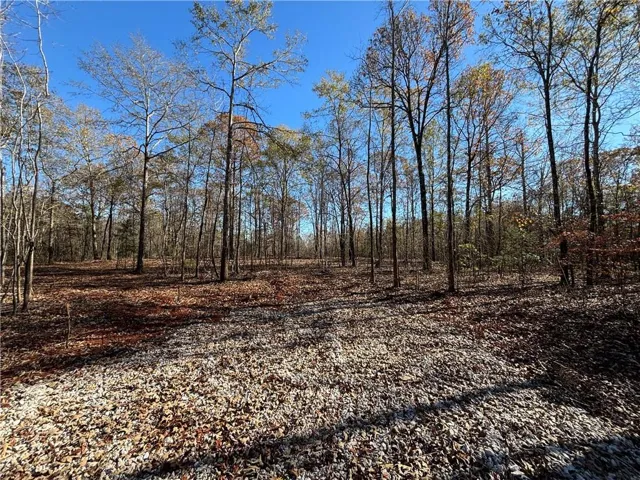 This expansive, wooded lot provides a tranquil retreat amidst nature's embrace.