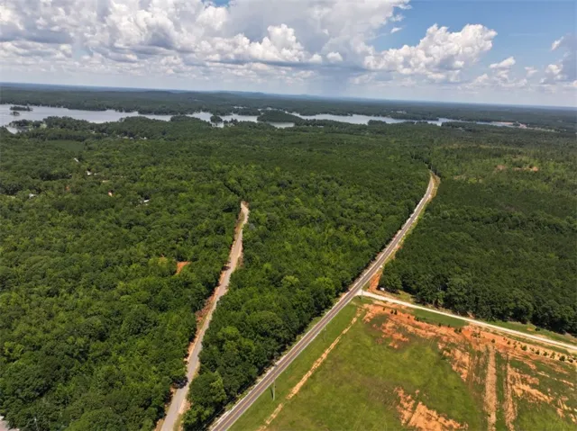 An aerial perspective reveals the expansive forest and tranquil lakes under a vast sky.