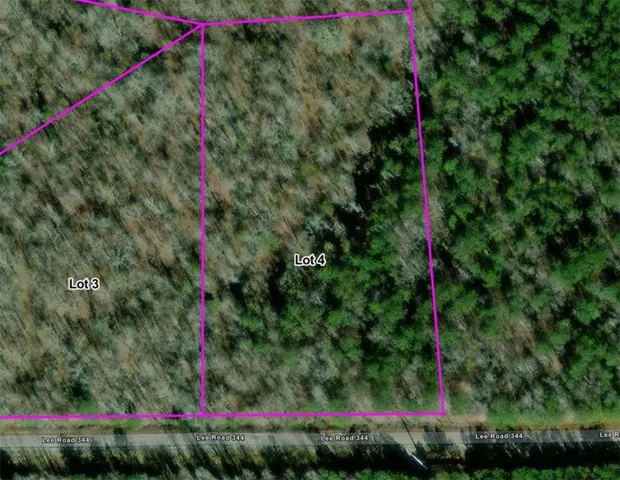 An overhead perspective highlights the vast potential of this verdant, undeveloped land.