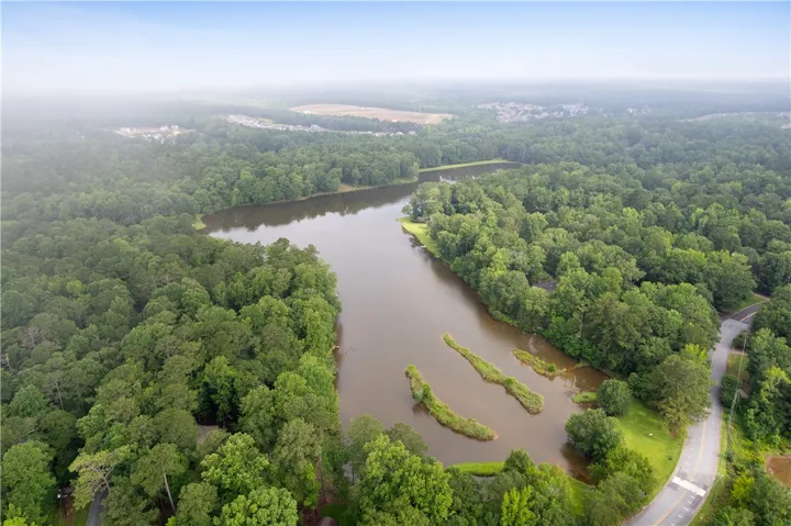This elevated view captures the expansive lake and lush surrounding greenery, offering serene natural beauty.