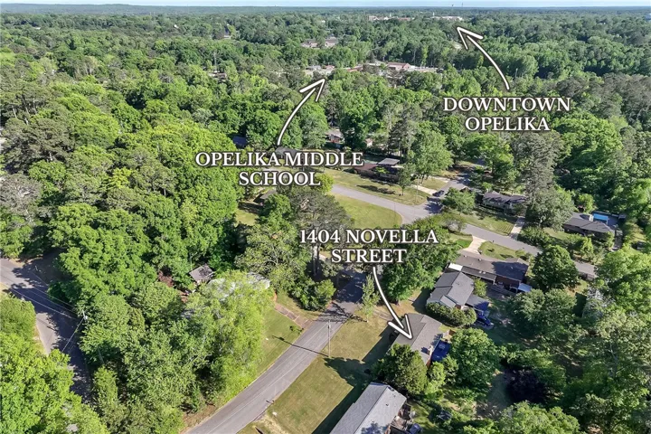 An aerial perspective showcases the tranquil residential neighborhood, surrounded by lush green trees.