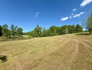 Surrounded by natural, mature trees under a clear sky.