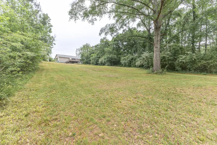 Large Back yard