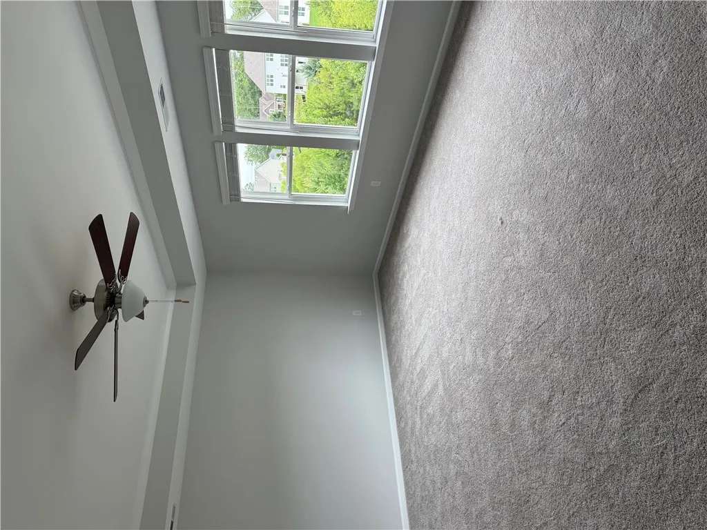 A generous room featuring ample natural light and plush carpeting.