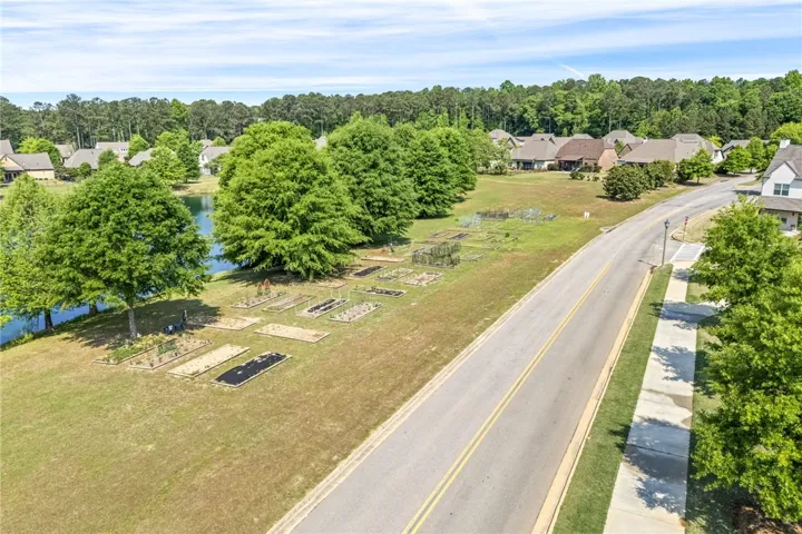 An aerial view showcases a vibrant community garden beside a serene lake and paved road.