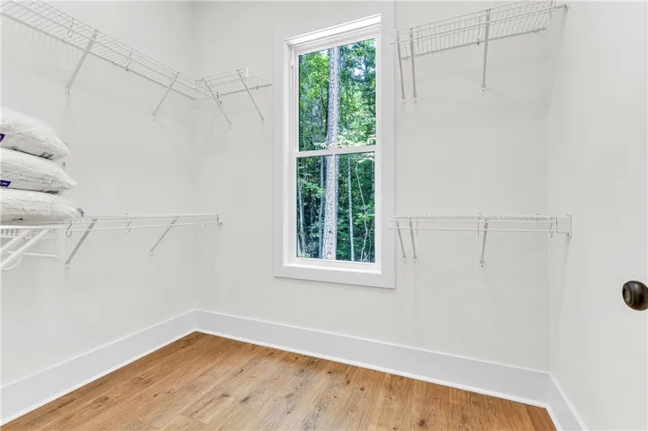 Walk-in closet with ample shelving and a view of surrounding mature trees.