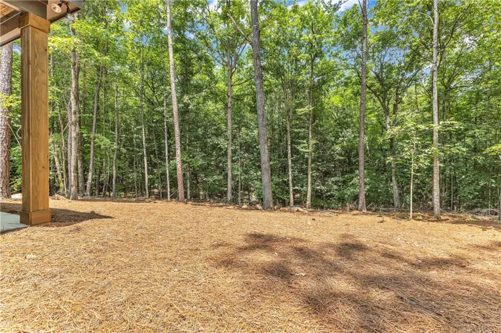 Mature trees form a verdant backdrop to this generous, unadorned backyard space, offering natural privacy and tranquility.