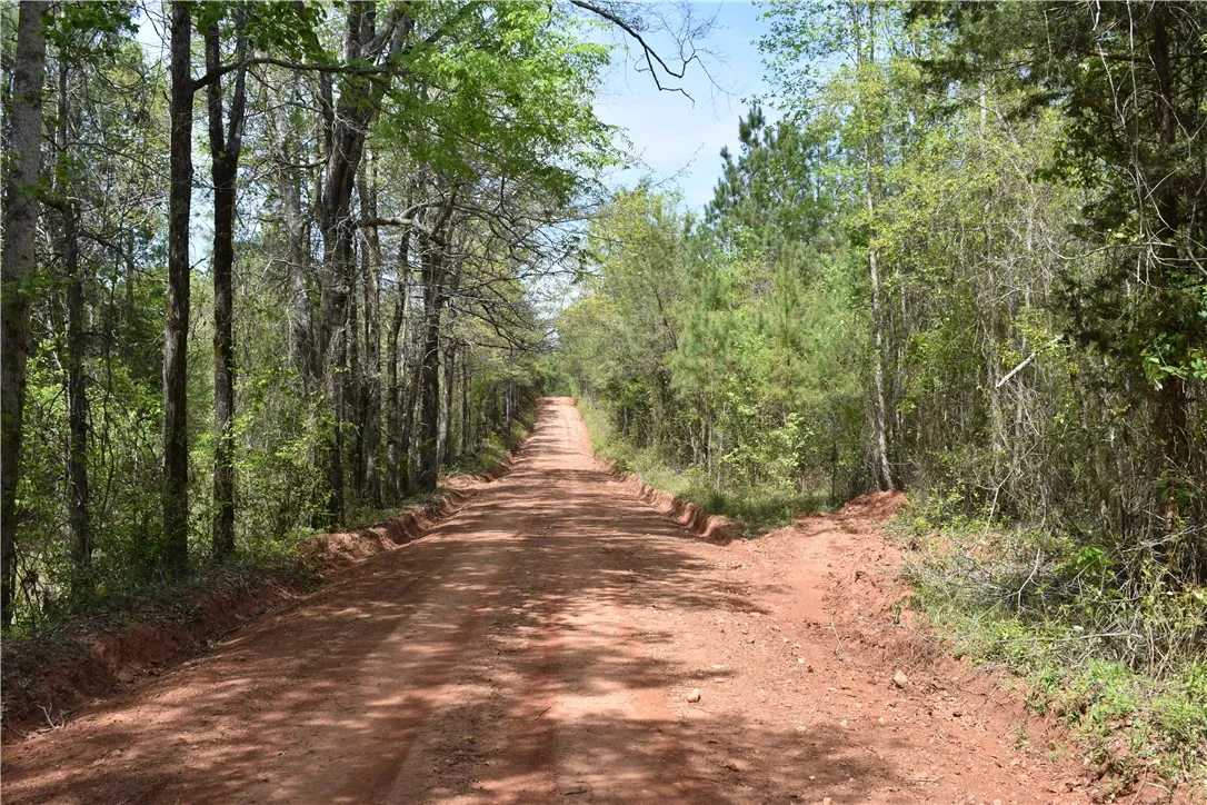 This secluded property offers ample space and a picturesque, tree-lined dirt road.