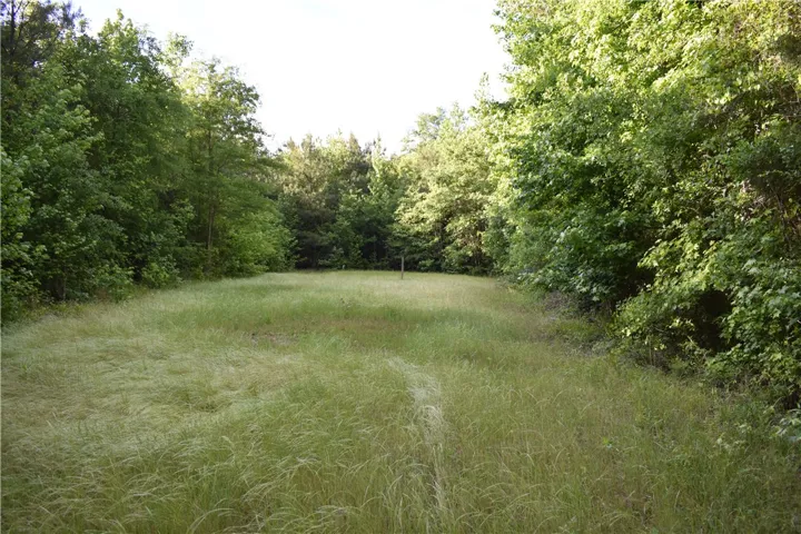A tranquil, verdant expanse surrounded by lush trees offers a serene natural setting.