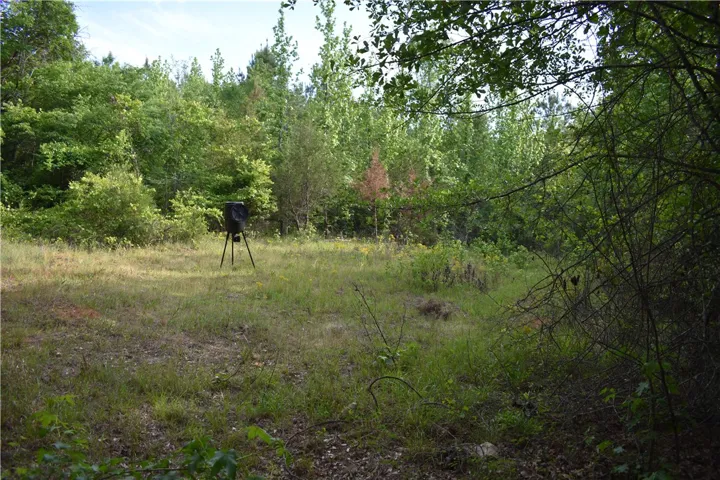 This tranquil lot, surrounded by lush trees, offers a secluded and peaceful natural​​‌​​​​‌​​‌‌​‌‌​​​‌‌​‌​‌​‌​​​‌​​ setting.