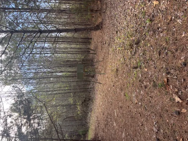 This secluded lot offers natural beauty and a tranquil environment.