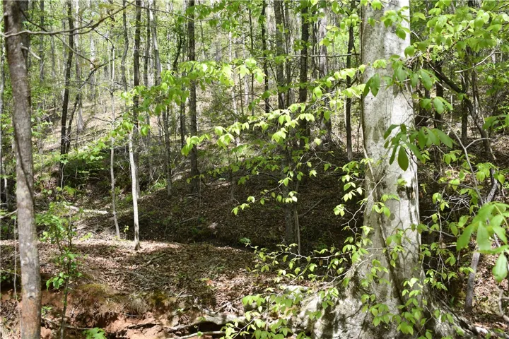 This verdant, wooded lot offers a tranquil escape, perfect for creating a secluded haven.