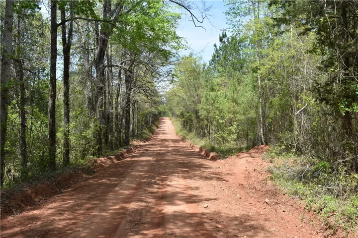 This secluded property offers ample space and a picturesque, tree-lined dirt road.