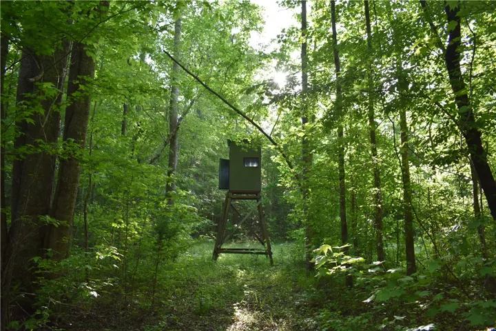 This tranquil wooded acreage offers a private setting, ideal for outdoor pursuits.