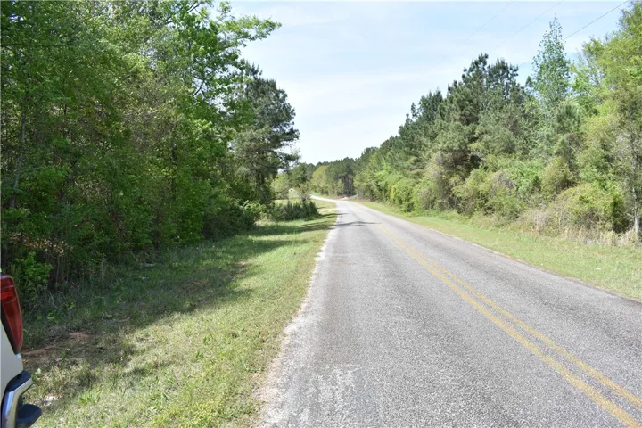 This scenic rural road is surrounded by lush green foliage and mature trees.