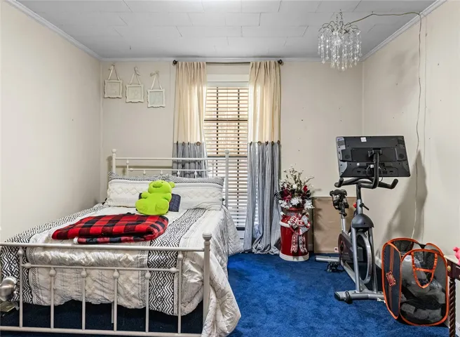 This cozy bedroom features plush carpeting and abundant natural light, offering a welcoming retreat.
