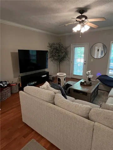 The living space features warm wood floors and abundant natural light.