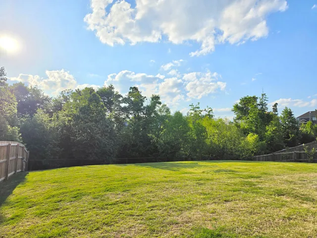Expansive green space offers a serene private yard with greenspace beyond.