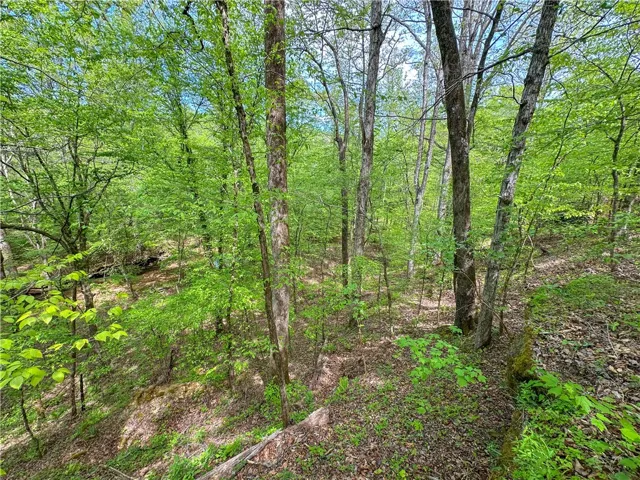 Lush foliage and towering trees create a serene and private natural setting.
