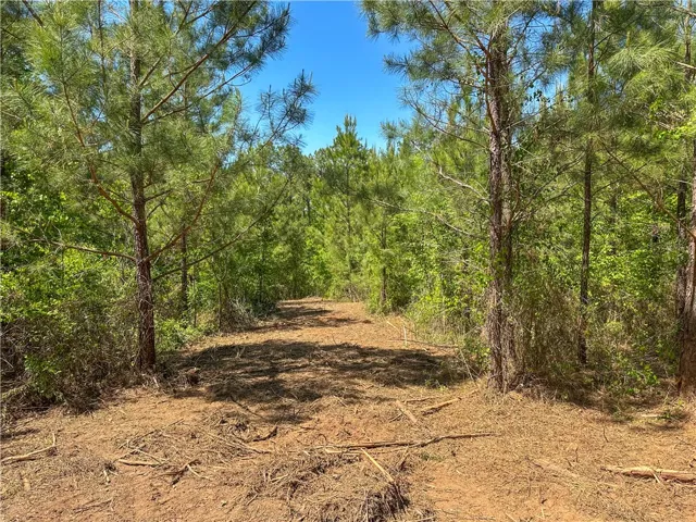 A secluded wooded lot offers natural privacy and a tranquil setting for your future home.