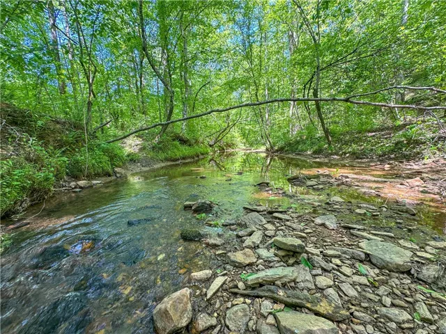 A tranquil creek winds through a lush, verdant forest, offering a serene natural escape.