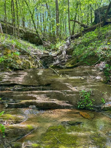 Discover a tranquil stream flowing through a lush forest with natural rock formations.