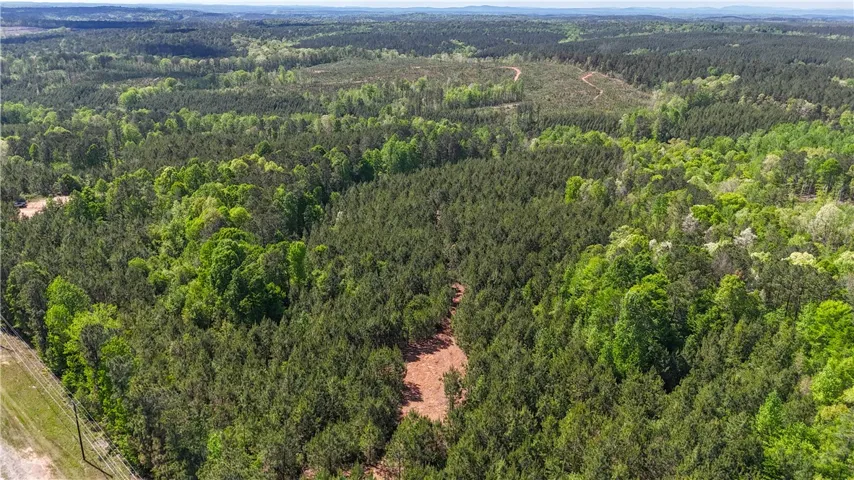 This aerial perspective showcases a vast, verdant expanse of wooded land.