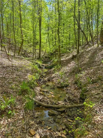 A tranquil stream meanders through a lush, verdant forest, offering serene natural beauty.