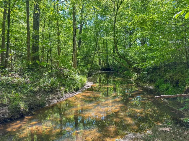 A tranquil creek winds through a lush, verdant forest, offering a serene natural escape.