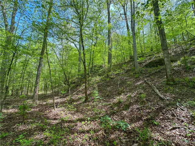 This tranquil wooded lot provides a private and serene natural setting for your future home.
