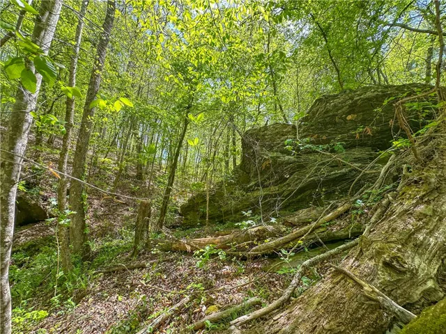 This tranquil wooded lot offers a private natural escape amidst lush greenery and rocky terrain.