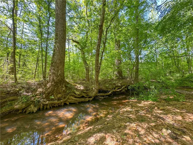 A tranquil creek winds through a lush, wooded landscape.
