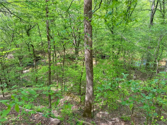 Lush woodlands embrace a serene natural stream, offering a peaceful and private setting.