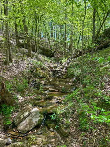 A tranquil creek winds through a lush, verdant landscape, inviting peaceful contemplation.