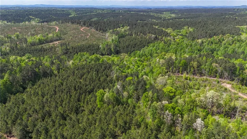 Expansive green landscape with distant hills offers serene natural beauty and potential.