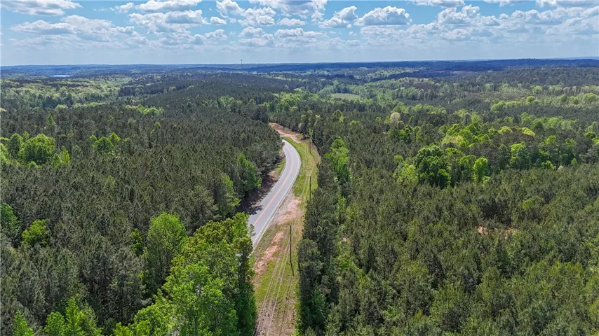 This aerial view showcases a winding road through lush, expansive woodlands.
