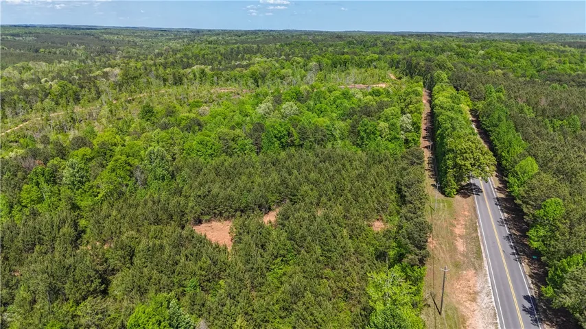 Expansive acreage provides a verdant canvas for development or a private retreat.