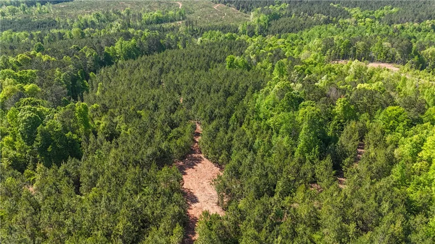 This verdant expanse of land offers endless possibilities for your dream property.