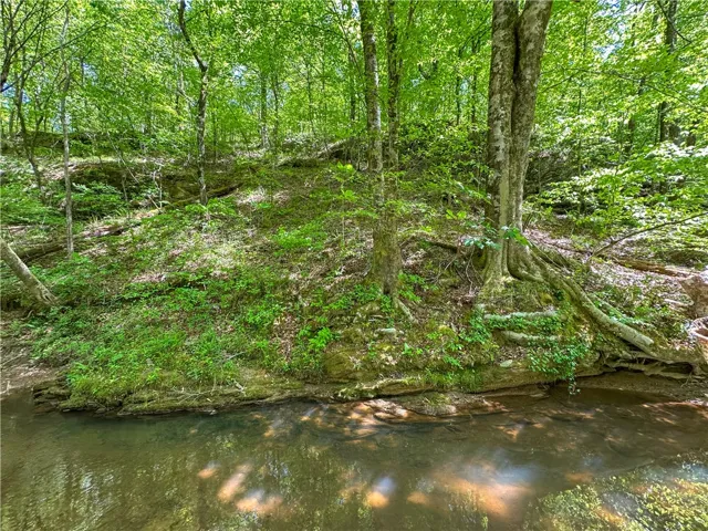This serene waterfront lot offers lush natural beauty and mature trees.