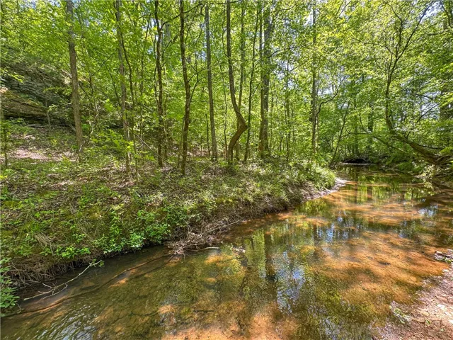 Lush foliage frames a serene stream, offering a peaceful natural setting.