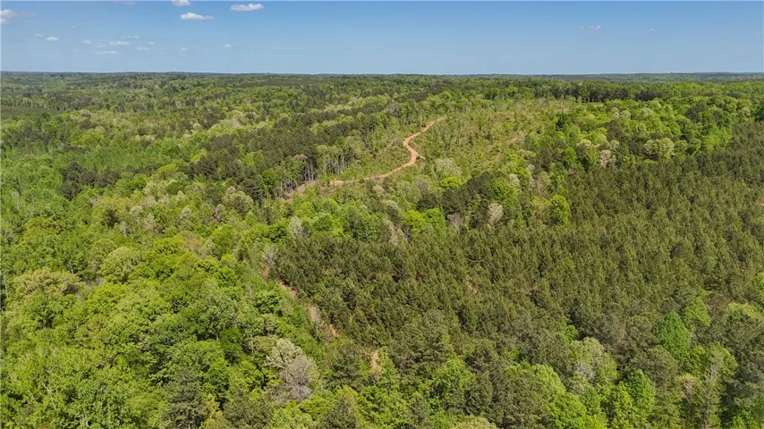 This elevated view captures the extensive, verdant landscape under a bright sky.