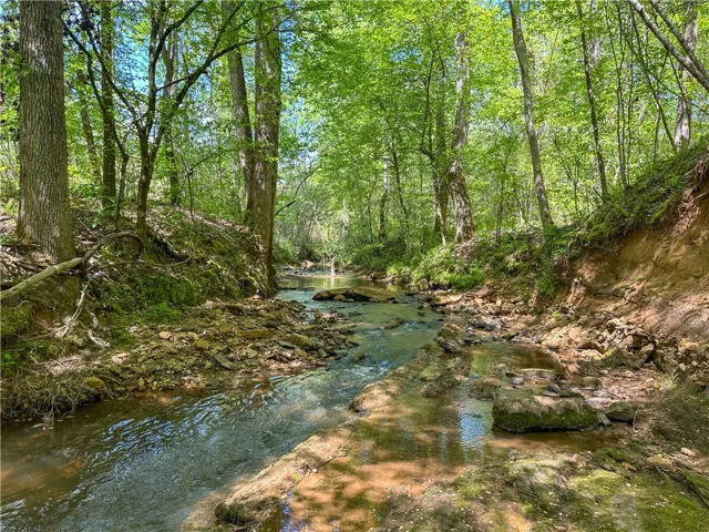 A tranquil stream meanders through a lush, verdant forest under a bright sky.