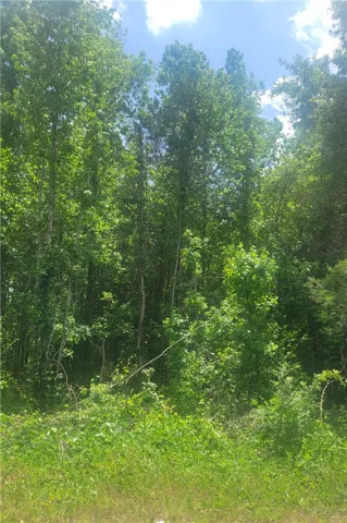 This verdant expanse of trees offers a serene and natural setting for your future endeavors.