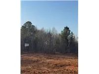 This spacious, cleared lot is ready for development, surrounded by mature trees for privacy.