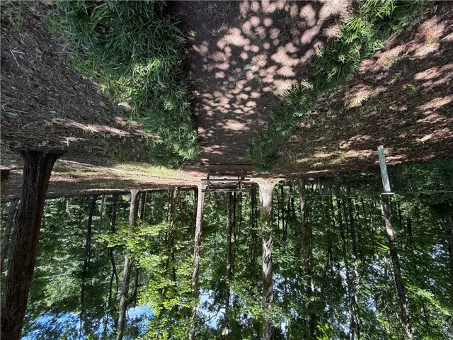 Find tranquility on this verdant trail, perfect for peaceful strolls.