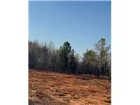 This expansive lot offers ample space for building your dream home, surrounded by lush trees and natural beauty.