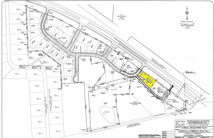 This detailed plat map outlines a promising development with clearly defined lots and access roads.