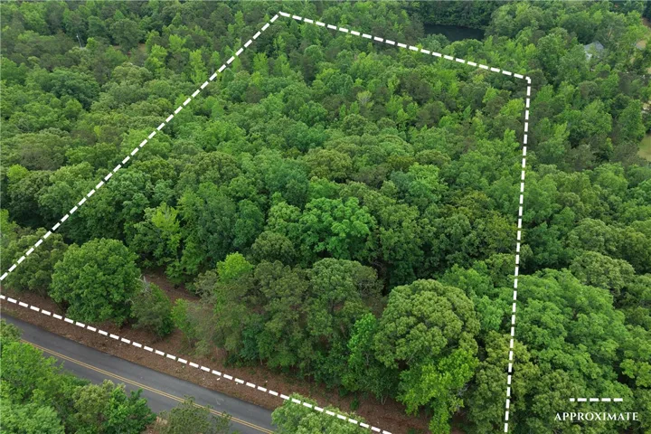 This aerial view showcases a verdant lot, offering a peaceful natural setting.
