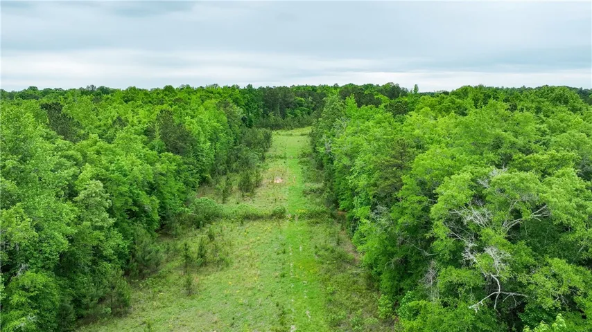 1850 Lee Road 140 N/a, Salem, Alabama 36874